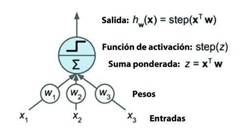 Estructura de un perceptrón (neurona)