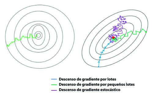 Rutas seguidas por los diferentes descensos por gradiente