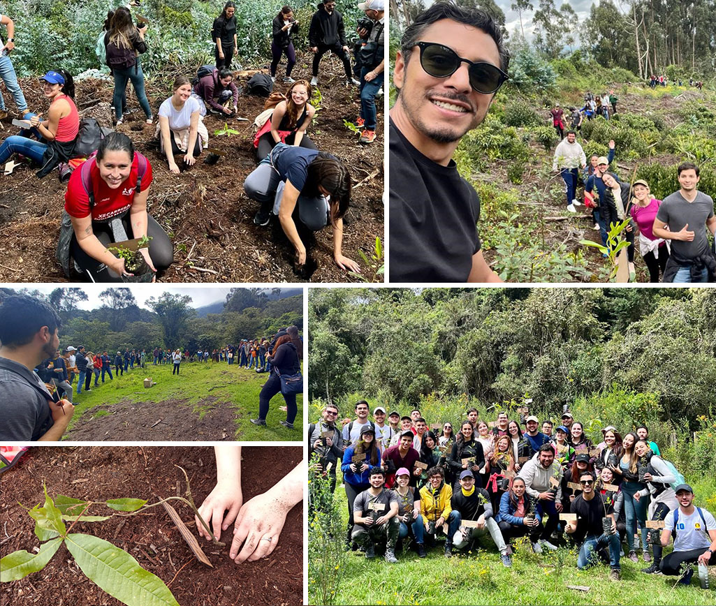 Jornada de reforestación con Saving the Amazon