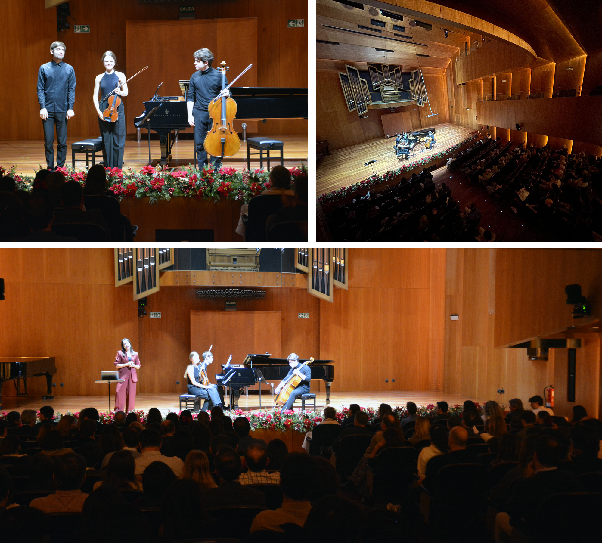 Concierto Solidario de Navidad de Madrid