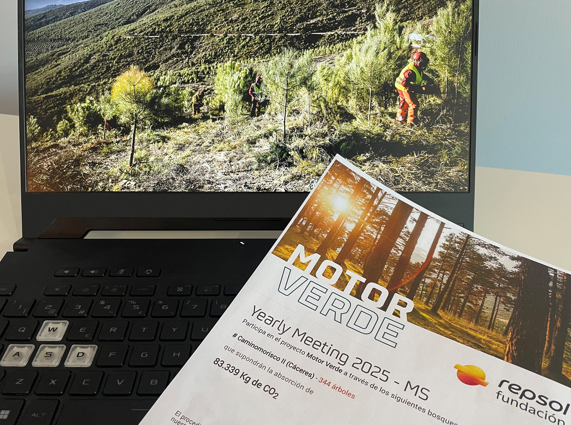Management Solutions neutraliza un año más las emisiones de CO2 de su Yearly Meeting