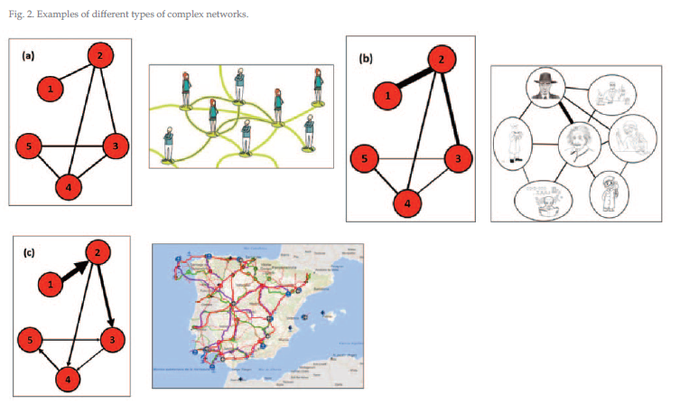 types of complex networks