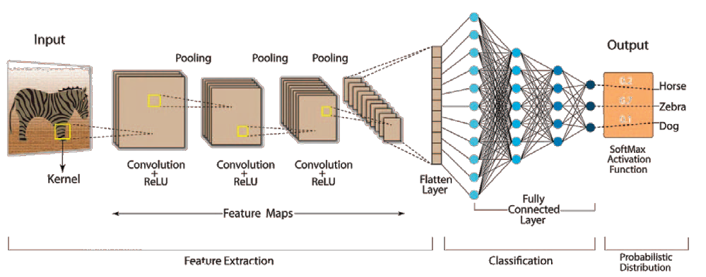Convolution neural network (CNN)
