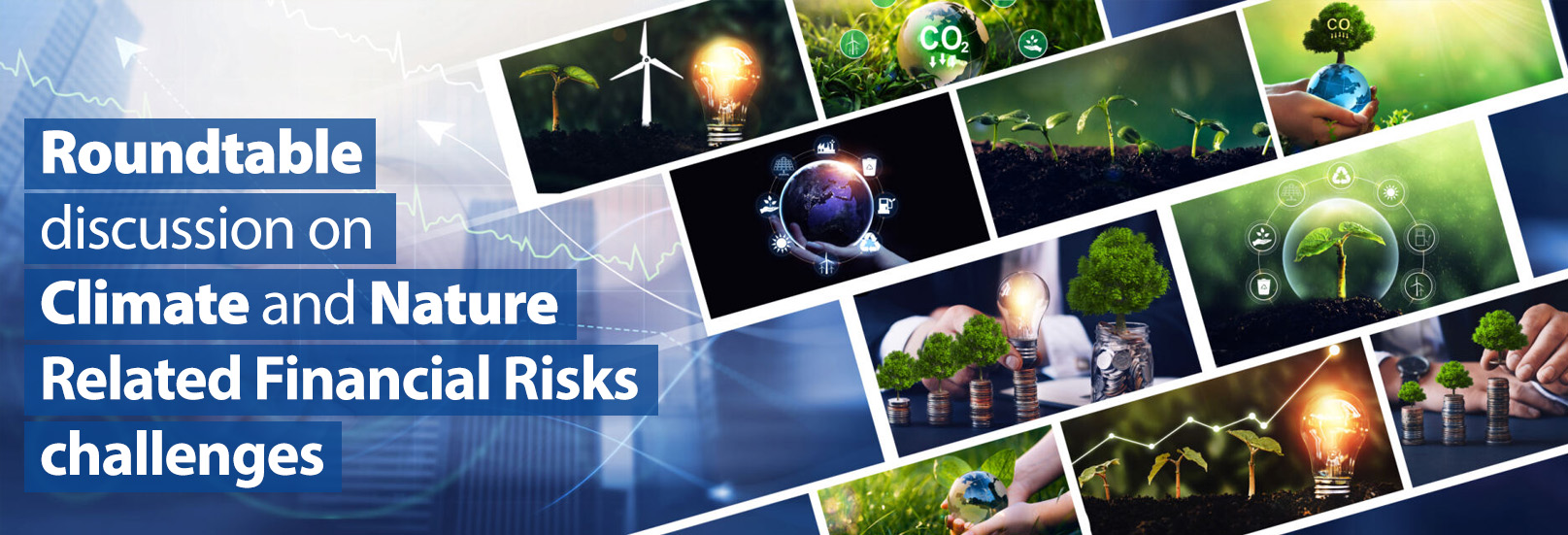 Roundtable  discussion on  Climate and Nature  Related Financial Risks challenges