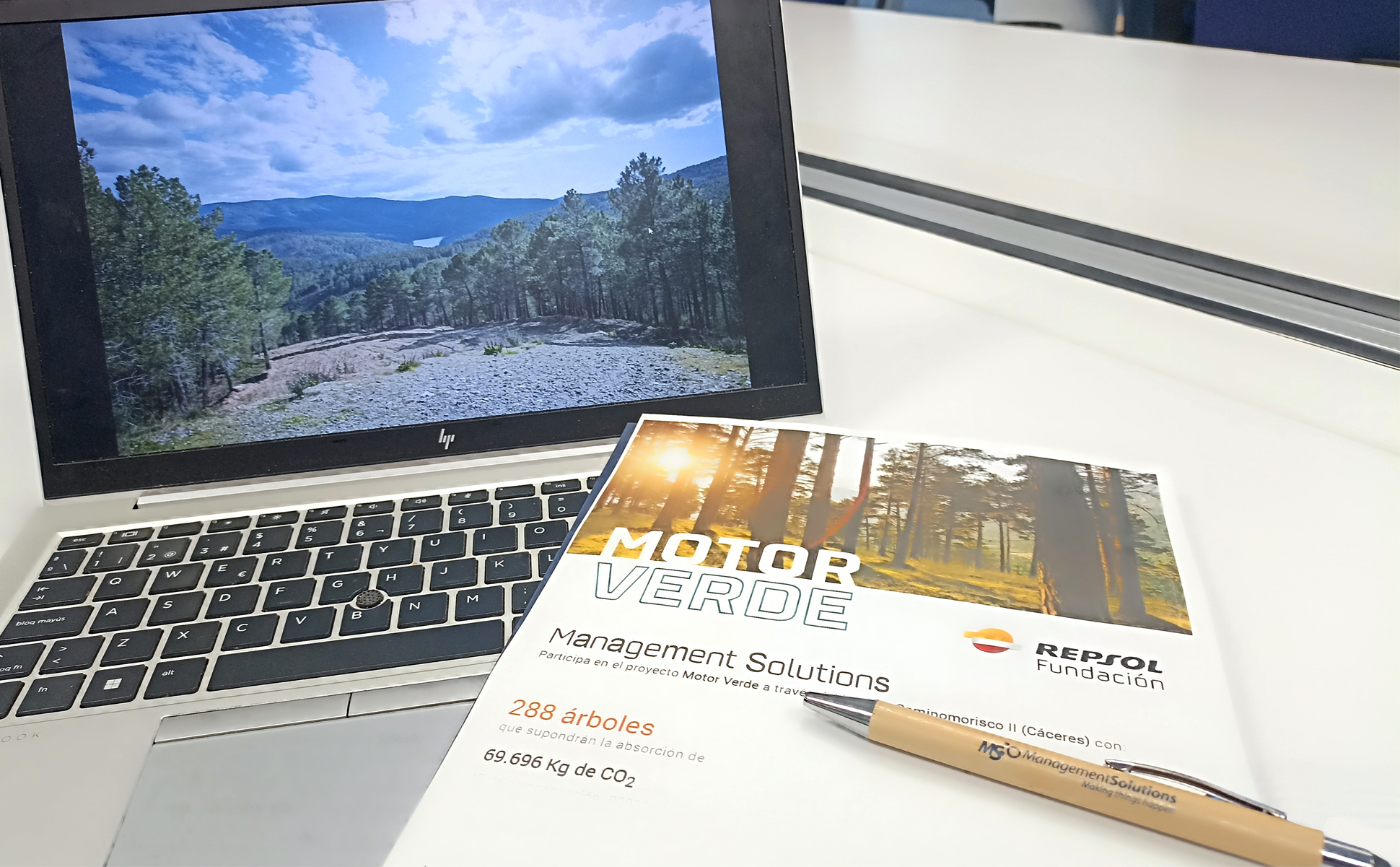 MS again neutralizes the CO2 emissions of its Yearly Meeting