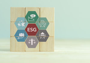 Guidelines on ESG risks management