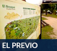 Previo
