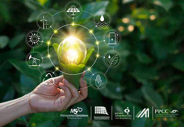 Impacts of the new ESG reporting regulations on Polish industry