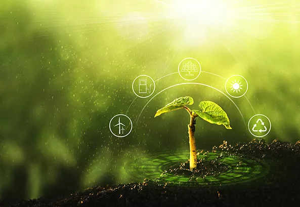Management Solutions participates in the AACH Sustainability Conference