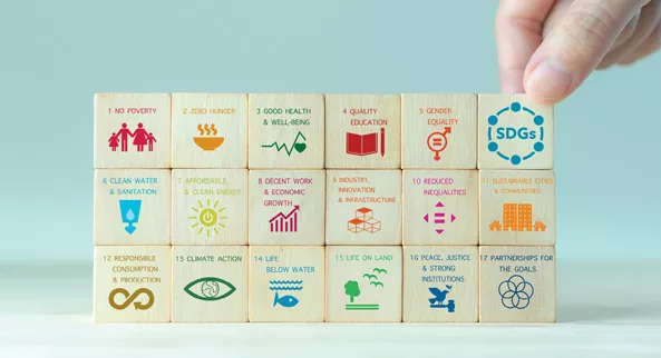 Sustainability at MS