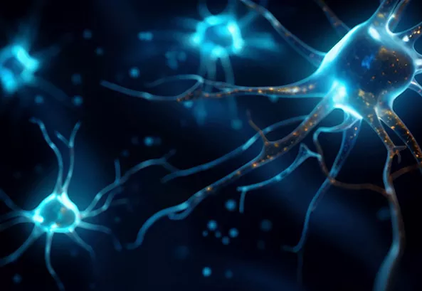 New paradigms and their challenges in the construction of neural networks