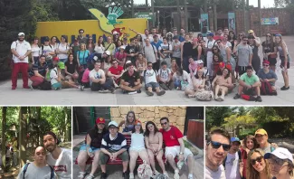 Management Solutions - Volunteering with Down Madrid