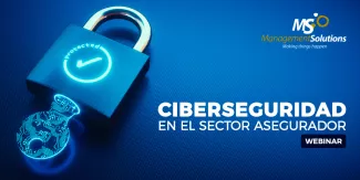 Webinar sobre Ciberseguridad en el sector asegurador Webinar sobre Ciberseguridad en el sector asegurador